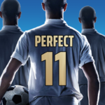 perfect-soccer.png