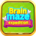 brain maze expedition