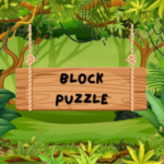 block puzzle