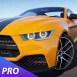 car-game-pro-parking-race.png