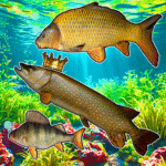 connect-fish-reach-the-pike.png