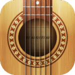 real-guitar-acoustic-electric.png