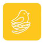 color-nest.png