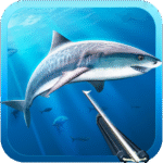 hunter-underwater-spearfishing.png
