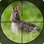 rabbit-hunting-bow-games.png