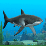 shark-fish-simulator.png