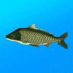 true-fishing-simulator.png